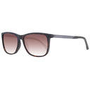 Police Brown Men Sunglass