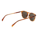 David Beckham Brown Men Sunglass