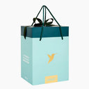 Gift Box Bag Green Color - Large