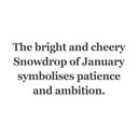 Snowdrop of January Bead